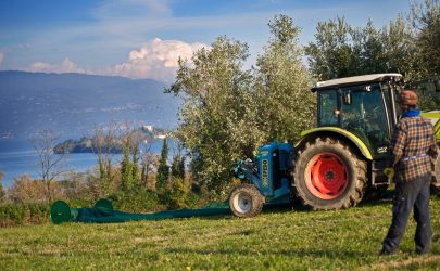 paesaggi lago di garda